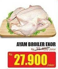 Promo Harga Ayam Broiler  - Hari Hari