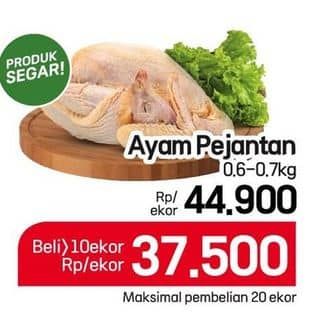 Ayam Pejantan