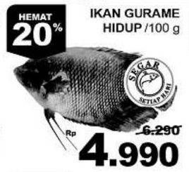 Promo Harga Ikan Gurame Hidup per 100 gr - Giant