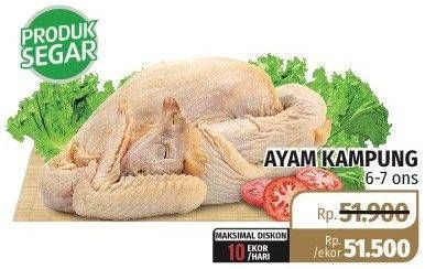 Promo Harga Ayam Kampung  - Lotte Grosir