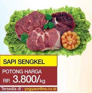 Promo Harga Daging Sengkel (Shankle)  - Yogya