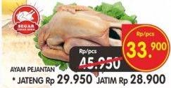 Promo Harga Ayam Pejantan  - Superindo