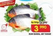 Promo Harga Ikan Bawal Tawar per 100 gr - Superindo