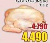 Promo Harga Ayam Kampung per 100 gr - Giant