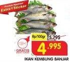 Promo Harga Ikan Kembung Banjar per 100 gr - Superindo