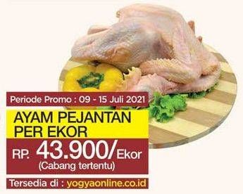 Promo Harga Ayam Pejantan  - Yogya