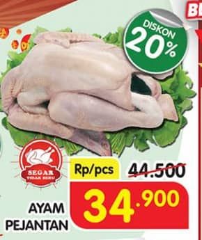 Ayam Pejantan