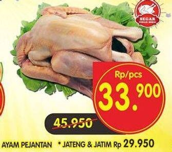 Promo Harga Ayam Pejantan  - Superindo