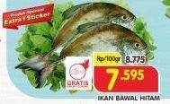 Promo Harga Ikan Bawal Hitam per 100 gr - Superindo