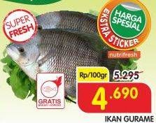 Promo Harga Ikan Gurame per 100 gr - Superindo