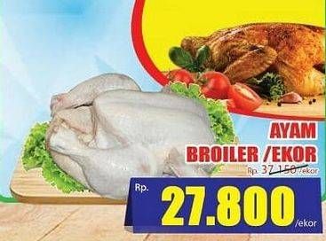 Promo Harga Ayam Broiler  - Hari Hari