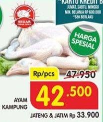 Promo Harga Ayam Kampung  - Superindo