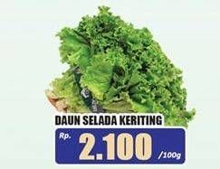 Promo Harga Daun Selada Kriting per 100 gr - Hari Hari