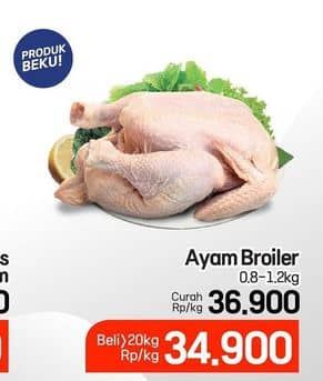 Promo Harga Ayam Broiler 800 gr - Lotte Grosir