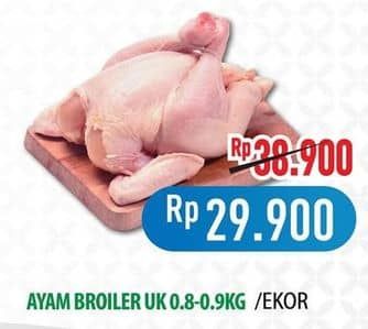 Promo Harga Ayam Broiler 800 gr - Hypermart