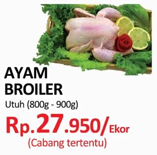 Promo Harga Ayam Broiler  - Yogya