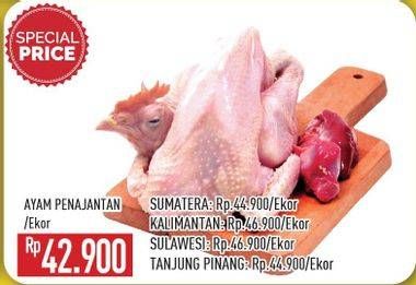 Promo Harga Ayam Pejantan  - Hypermart