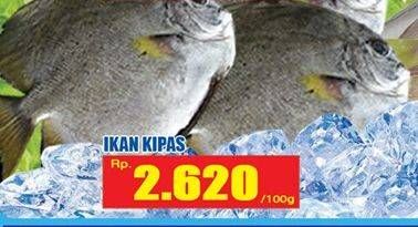 Promo Harga Ikan Kipas per 100 gr - Hari Hari