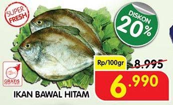 Promo Harga Ikan Bawal Hitam per 100 gr - Superindo