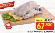 Promo Harga Ayam Kampung Jumbo  - Superindo