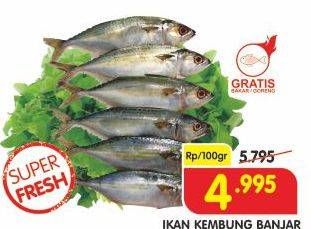 Promo Harga Ikan Kembung Banjar per 100 gr - Superindo