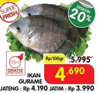 Promo Harga Ikan Gurame per 100 gr - Superindo