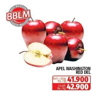 Promo Harga Apel Red Del Washington  - Lotte Grosir