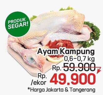 Promo Harga Ayam Kampung 600 gr - LotteMart