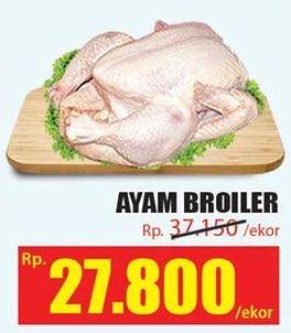 Promo Harga Ayam Broiler  - Hari Hari