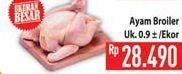 Promo Harga Ayam Broiler  - Hypermart