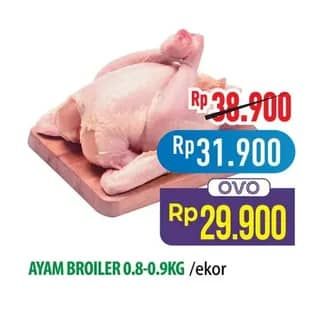 Promo Harga Ayam Broiler 800 gr - Hypermart