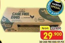 Promo Harga 365 Telur Ayam Cage Free 10 pcs - Superindo
