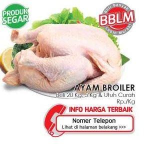 Promo Harga Ayam Broiler per 20 kg - LotteMart