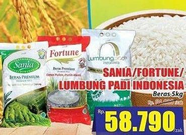 Promo Harga SANIA/ FORTUNE/ LUMBUNG PADI Beras 5 kg  - Hari Hari