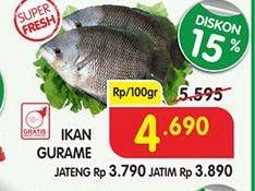 Promo Harga Ikan Gurame per 100 gr - Superindo