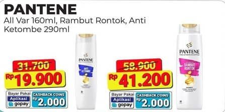 Pantene Shampoo