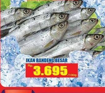 Promo Harga Ikan Bandeng Besar per 100 gr - Hari Hari