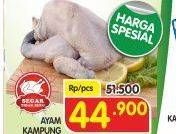 Promo Harga Ayam Kampung 600 gr - Superindo