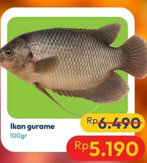 Promo Harga Ikan Gurame per 100 gr - Hypermart