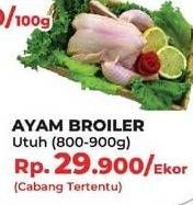 Promo Harga Ayam Broiler Utuh  - Yogya