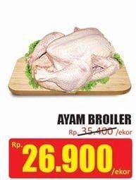 Promo Harga Ayam Broiler  - Hari Hari