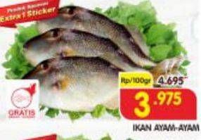 Promo Harga Ikan Ayam-Ayam per 100 gr - Superindo