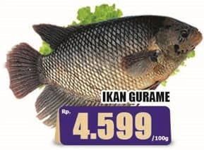 Promo Harga Ikan Gurame per 100 gr - Hari Hari