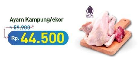 Promo Harga Ayam Kampung 500 gr - Hypermart