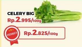 Promo Harga Daun Seledri Besar per 100 gr - Yogya