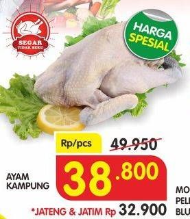 Promo Harga Ayam Kampung  - Superindo