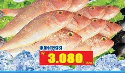 Promo Harga Ikan Terisi per 100 gr - Hari Hari