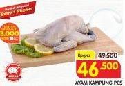 Promo Harga Ayam Kampung  - Superindo