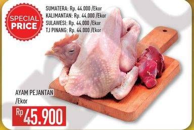 Promo Harga Ayam Pejantan  - Hypermart