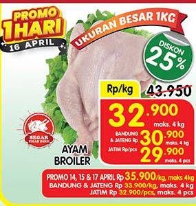 Promo Harga Ayam Broiler  - Superindo